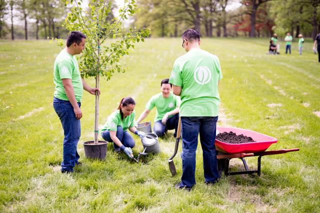 Tree Planting 